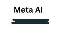 Meta AI1 1 edited