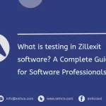 what is testing in zillexit software